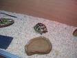 HERMAN TORTOISE for sale,  3yrs old with nearly new 4X2X2....